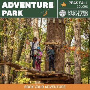 Adventure Park Media Examples | 1618marketing
